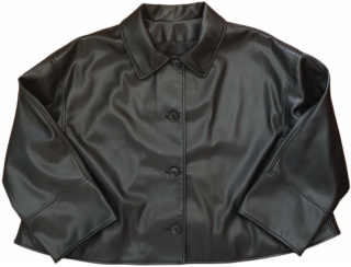 <img class='new_mark_img1' src='https://img.shop-pro.jp/img/new/icons47.gif' style='border:none;display:inline;margin:0px;padding:0px;width:auto;' />eco leather jacket