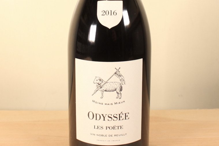 ODYSSEE Pinot noir 2016