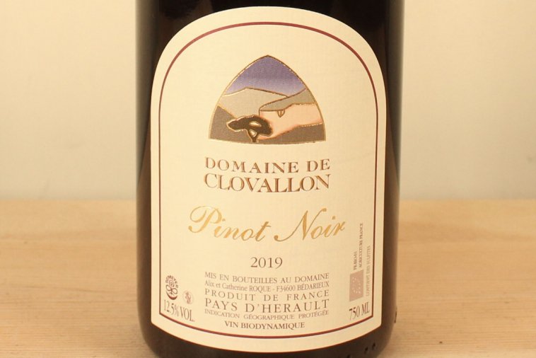 Pinot Noir
ԥΡΥ2019