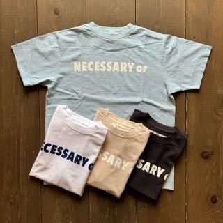 Necessary or Unnecessary NOUN Print T 