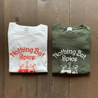 ORDINARY FITS PRINT-T SPICE