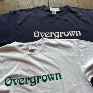 <img class='new_mark_img1' src='https://img.shop-pro.jp/img/new/icons5.gif' style='border:none;display:inline;margin:0px;padding:0px;width:auto;' />SASSAFRAS Overgrown T 1/2 