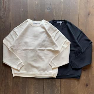 <img class='new_mark_img1' src='https://img.shop-pro.jp/img/new/icons5.gif' style='border:none;display:inline;margin:0px;padding:0px;width:auto;' /> SBTRACT THICK JERSEY SWEAT 