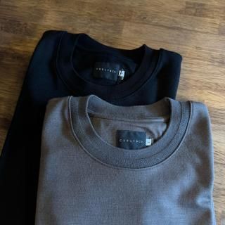 <img class='new_mark_img1' src='https://img.shop-pro.jp/img/new/icons5.gif' style='border:none;display:inline;margin:0px;padding:0px;width:auto;' />CURLYCo. Tech Wool Crew Neck Pullover 