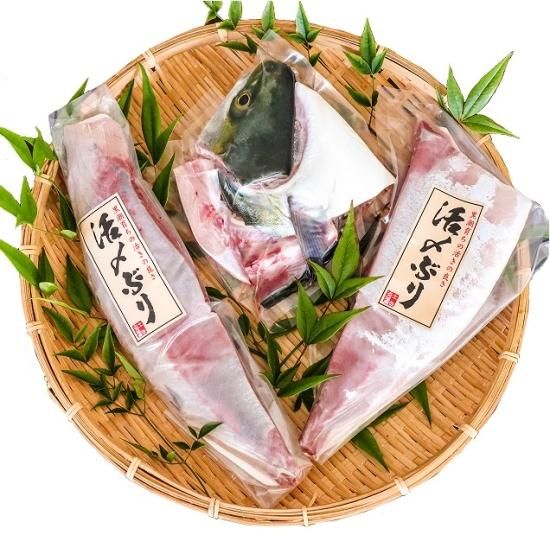 活〆ぶり 土佐大月海産