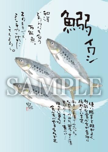 あったかいが 鰯 イワシ 絵ハガキサイズ F005a あったかいが あったかいが専門ショップ