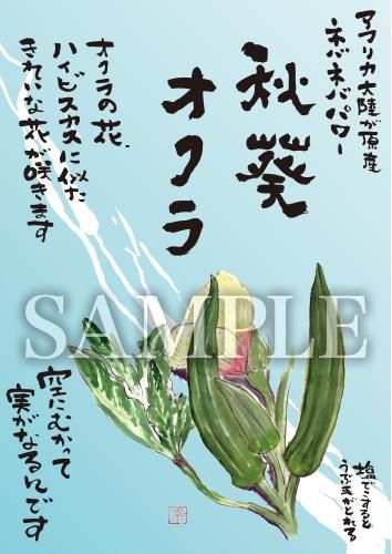 あったかいが オクラ 絵ハガキサイズ B017a あったかいが あったかいが専門ショップ あったかいが オクラ 絵ハガキサイズ B017a あったかいが あったかいが専門ショップ
