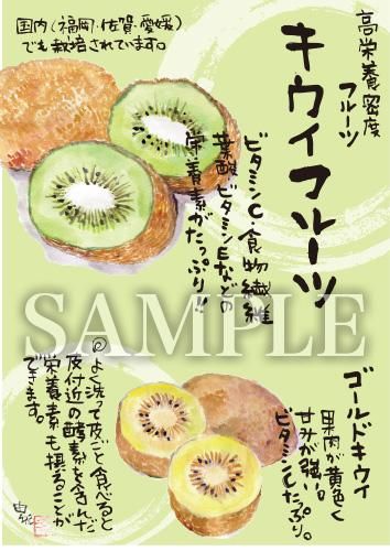 あったかいが キウイフルーツ 絵ハガキサイズ B023a あったかいが あったかいが専門ショップ あったかいが キウイフルーツ 絵ハガキサイズ B023a あったかいが あったかいが専門ショップ