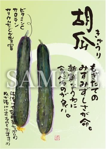 あったかいが きゅうり 絵ハガキサイズ B025a あったかいが あったかいが専門ショップ あったかいが きゅうり 絵ハガキサイズ B025a あったかいが あったかいが専門ショップ