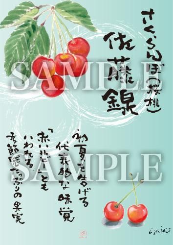 あったかいが さくらんぼ 絵ハガキサイズ B032a あったかいが あったかいが専門ショップ あったかいが さくらんぼ 絵ハガキサイズ B032a あったかいが あったかいが専門ショップ