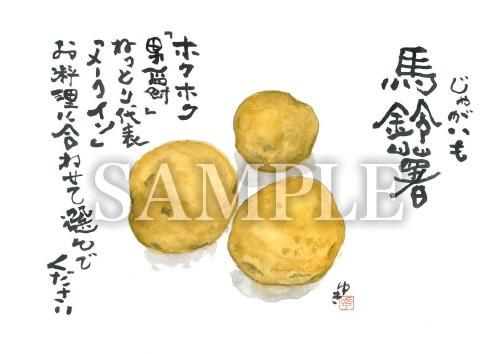 あったかいが じゃがいも 絵ハガキサイズ B103a あったかいが あったかいが専門ショップ あったかいが じゃがいも 絵ハガキサイズ B103a あったかいが あったかいが専門ショップ