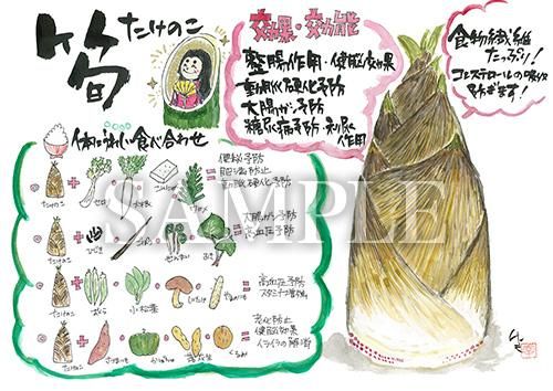 あったかいが たけのこ 絵ハガキサイズ B113a あったかいが あったかいが専門ショップ