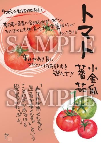 あったかいが トマト 絵ハガキサイズ B046a あったかいが あったかいが専門ショップ あったかいが トマト 絵ハガキサイズ B046a あったかいが あったかいが専門ショップ