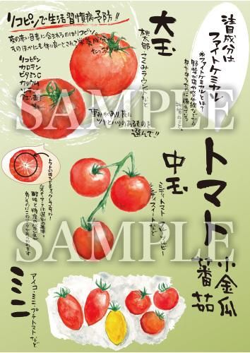 あったかいが トマト各種 絵ハガキサイズ B048a あったかいが あったかいが専門ショップ あったかいが トマト各種 絵ハガキサイズ B048a あったかいが あったかいが専門ショップ
