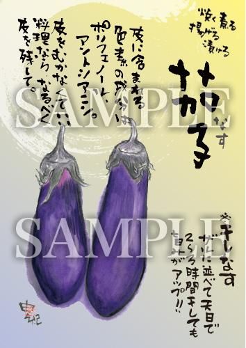 あったかいが 茄子 絵ハガキサイズ B055a あったかいが あったかいが専門ショップ あったかいが 茄子 絵ハガキサイズ B055a あったかいが あったかいが専門ショップ