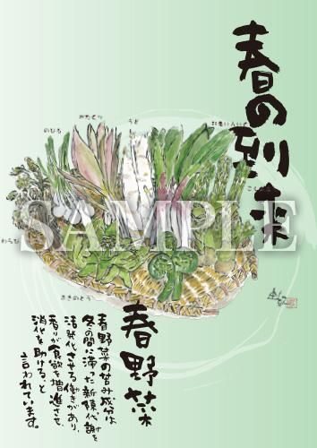 あったかいが 春野菜 絵ハガキサイズ B007a あったかいが あったかいが専門ショップ あったかいが 春野菜 絵ハガキサイズ B007a あったかいが あったかいが専門ショップ