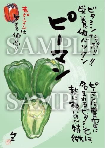 あったかいが ピーマン 絵ハガキサイズ B066a あったかいが あったかいが専門ショップ あったかいが ピーマン 絵ハガキサイズ B066a あったかいが あったかいが専門ショップ