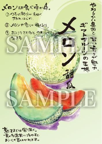 肥後グリーンメロン 色鉛筆画　はがきサイズ 熊本が生まれの高級メロン・肥後グリーンのご予約スタート