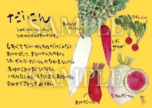 あったかいが 大根 絵ハガキサイズ S009a あったかいが あったかいが専門ショップ あったかいが 大根 絵ハガキサイズ S009a あったかいが あったかいが専門ショップ