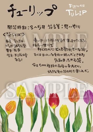あったかいが チューリップ 絵ハガキサイズ E029a あったかいが あったかいが専門ショップ あったかいが チューリップ 絵ハガキサイズ E029a あったかいが あったかいが専門ショップ