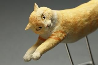 正木卓（猫） - 暮らしを楽しむうつわ・作家ものの和食器通販
