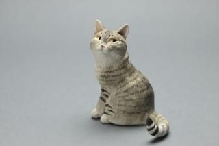 正木卓（猫） - 暮らしを楽しむうつわ・作家ものの和食器通販