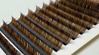 �� L J �� �饤�ȥ֥饦���6��� 0.20