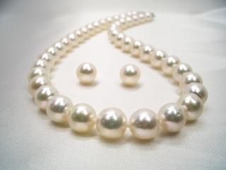 俿ͥå쥹å 9.0-9.5mm y-n-566