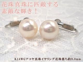 驚き、花珠級のテリ、K14WGアコヤ真珠イヤリング花珠落ち約9.0mm Y-i-922