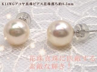 驚き、花珠級のテリ、K14WGアコヤ真珠 ピアス花珠落ち約8.5mm Y-i-921