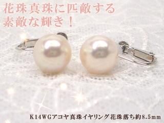 驚き、花珠級のテリ、K14WGアコヤ真珠イヤリング花珠落ち約8.5mm Y-i-920