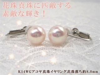 äּΥƥꡢK14WG俿󥰲ּ8.0mm Y-i-918