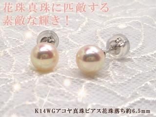 äּΥƥꡢK14WG俿ԥּ6.5mm Y-i-917