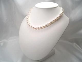 ּ餷ƥꡢӣ֥俿ͥå쥹åȲּ8.59.0mm(1)(2)ԥ y-n-3871