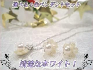 ʤǤ⥭塼ȡ İ奨꡼ܥåä ڥȥåȡ y-n-3041