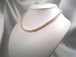 俿ͥå쥹 6.0-6.5mm y-n-2435