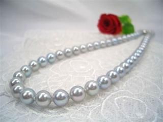 俿졼ͥå쥹ʽ7.0-7.5mm y-n-2408