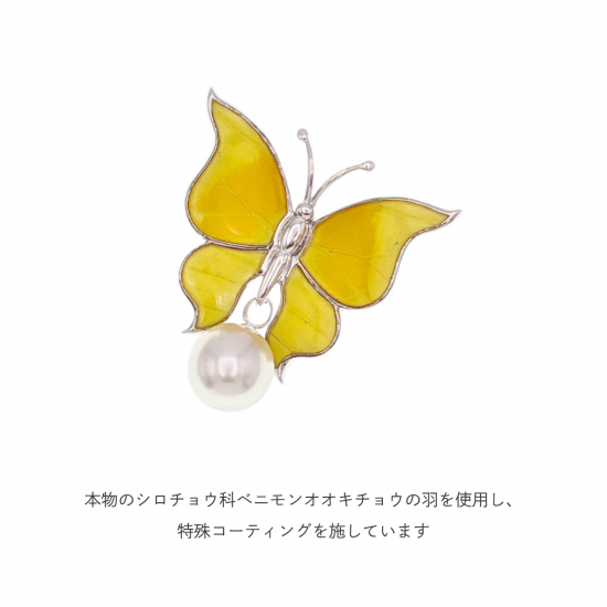 白蝶真珠ブローチ(チェーン付)