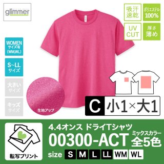 [TP-C] 4.4オンスドライTシャツ ミックス全5色 S〜LL 転写C(小1+大1)