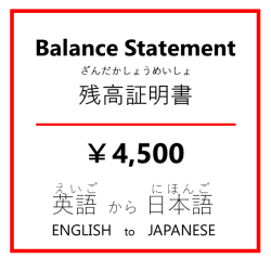 Balance StatementĹ