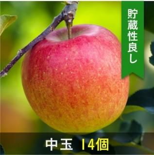 最上級シナノスイート　　大玉５kg×２箱 最上級シナノスイート 大玉5kg×2箱（シナノスイート 大玉の通販）