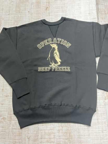WAREHOUSE ウエアハウス Lot 401「DEEP FREEZE」セットイン