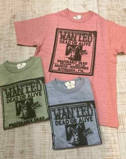 ϥ Lot 4096 88/12 ݥ롼ͥåT  WANTED åȥߥ졼WAREHOUSE