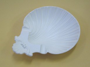 シェル灰皿（トレーシェル）WAB   小物入れ 貝殻
