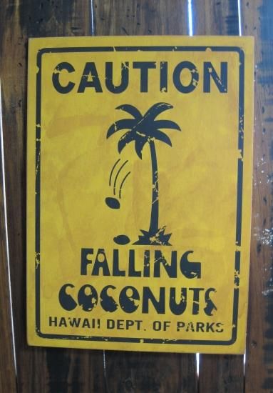 フォーリンココナッツ　ロードサイン ハワイアンウッドサインボード・ハワイの道路標識（CAUTION
