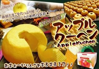 ھﲹۥåץ륯إ(1ġ