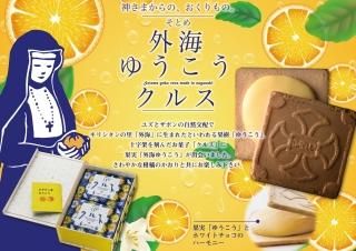 ھﲹ۳椦륹