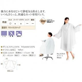 拾 e-ɥɥ쥹µ ۥ磻