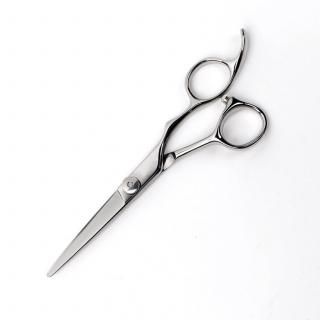 D-STANDARD  ѥ 5.5 աڥå㤤Ϥˤ