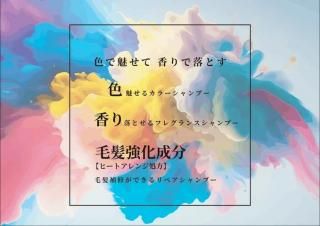 CF���顼�ե쥰��󥹥����ס� ����С� ��ե��� 500ml